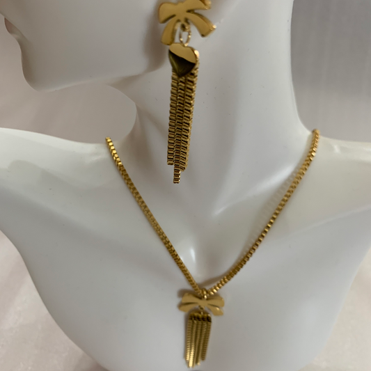 Cadena Y Arete Lazo 0002